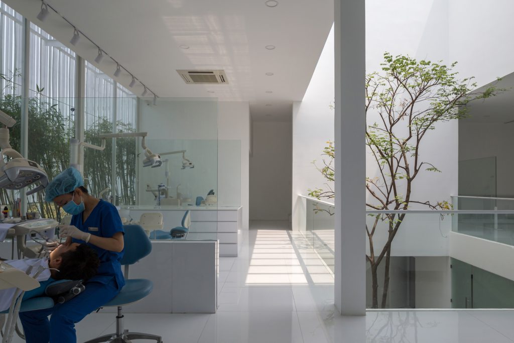 dental clinic Biophilic design